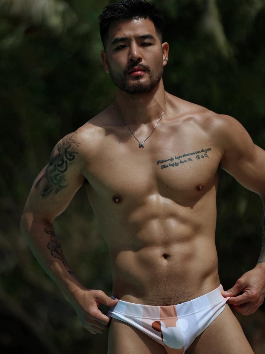 Flashback Swim Brief