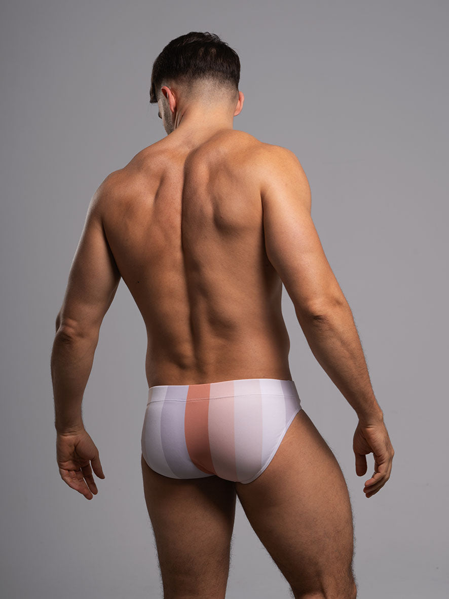 Flashback Swim Brief