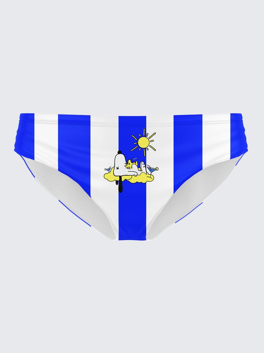 MYSTERY PACK: 4 SWIM BRIEFS