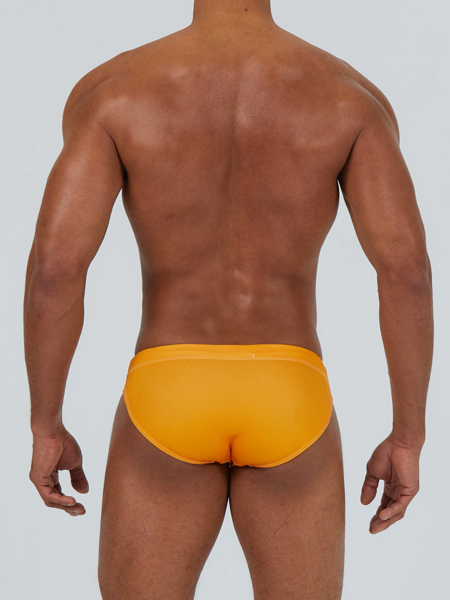 Amber Swim Brief