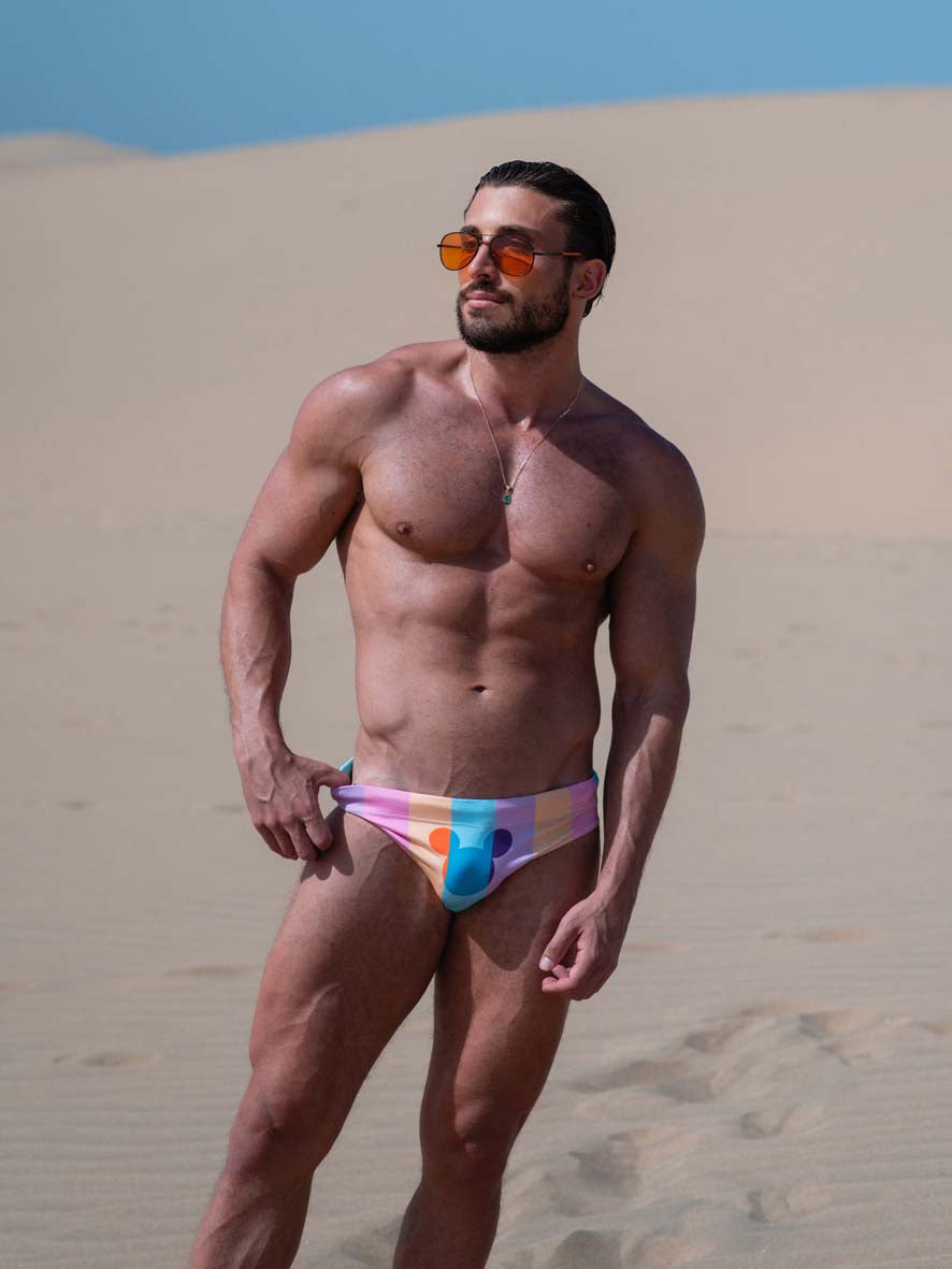 Nostalgia Swim Brief