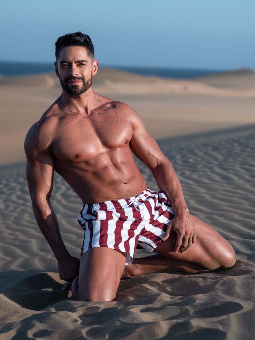 Ares Swim Shorts